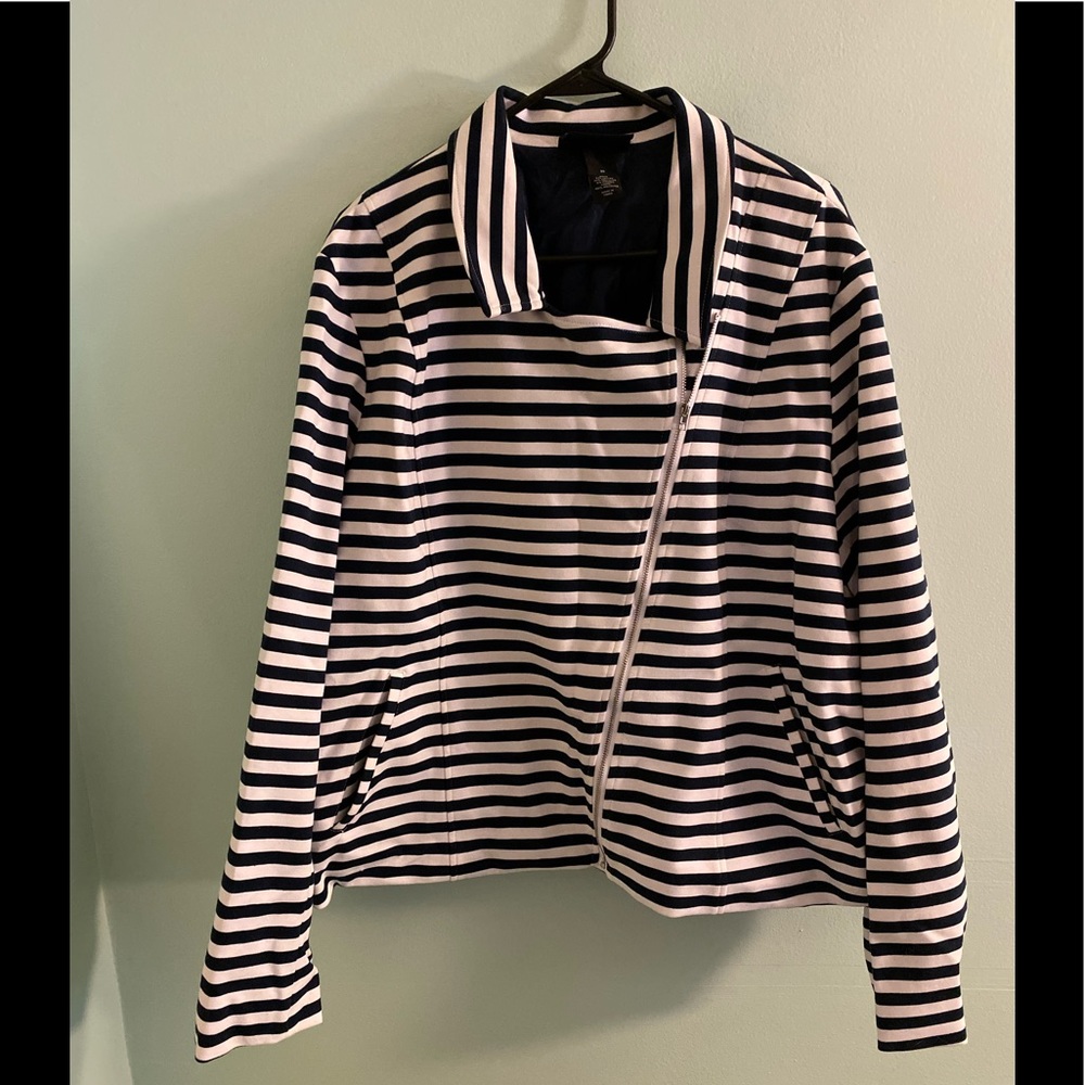 Lane Bryant Knit Moto Jacket